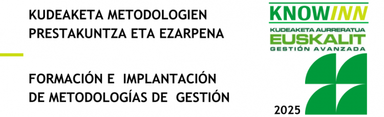 Formacin e implementacin de metodologas de gestin